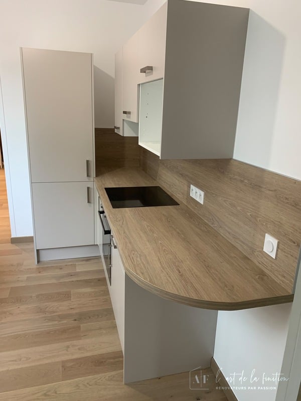 Rénovation d'appartement à Levallois-Perret (92) – photo 3